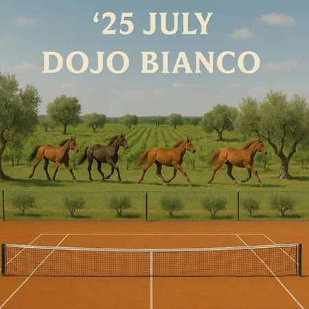 Dojo Bianco 4* Massa Marittima