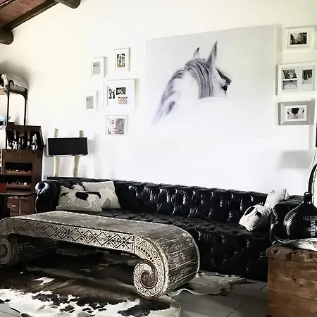 Dojo Bianco Bed & Breakfast Massa Marittima