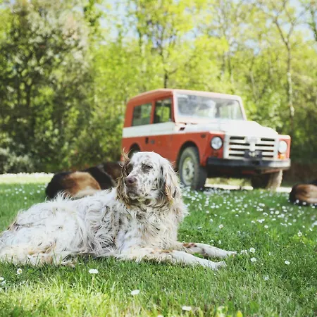 فندق مبيت وإفطار Dojo Bianco