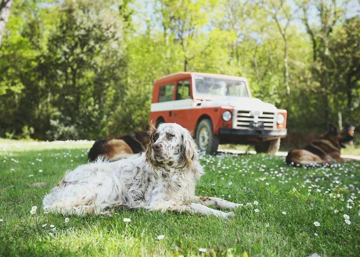 فندق مبيت وإفطار Dojo Bianco